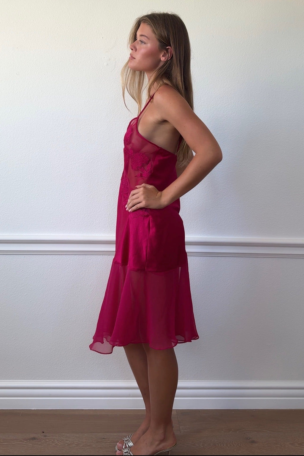 Victorias Secret Gold Label Sheer Dress